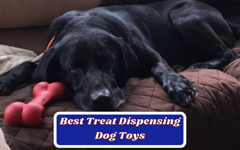 10 Best Treat Dispensing Dog Toys To Keep Them Busy For Hours