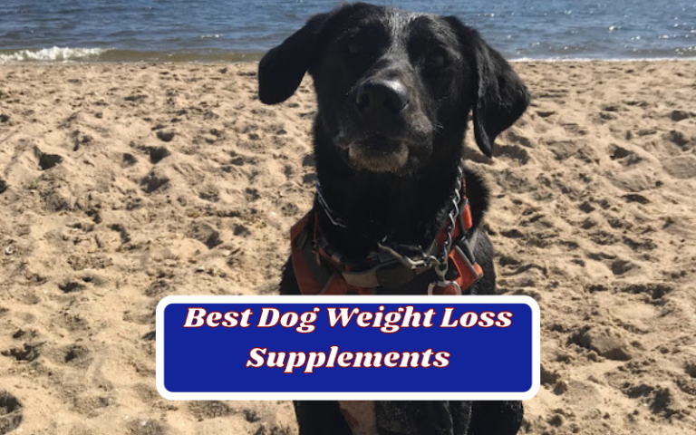 5 Best Dog Weight Loss Supplements – Proven Supplements